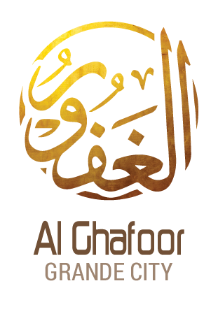 Flourish Disclosure Bra – Al Ghafoor Centre